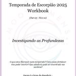 Workbook da Temporada 2025