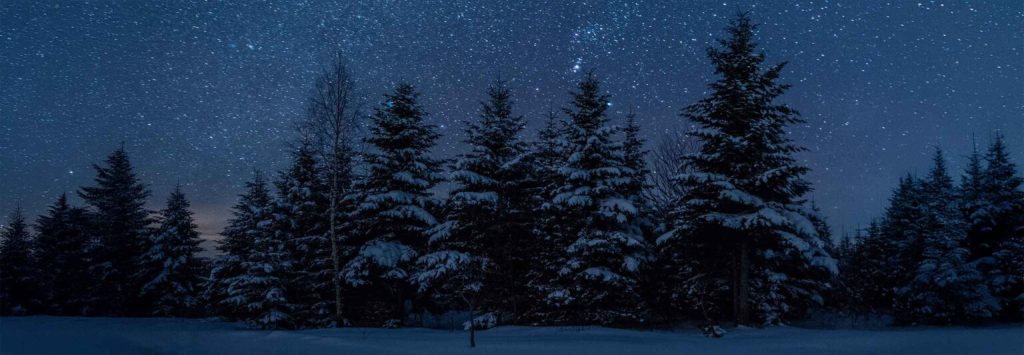 article Lua Nova em Capricórnio: a primeira Lua Nova de 2026