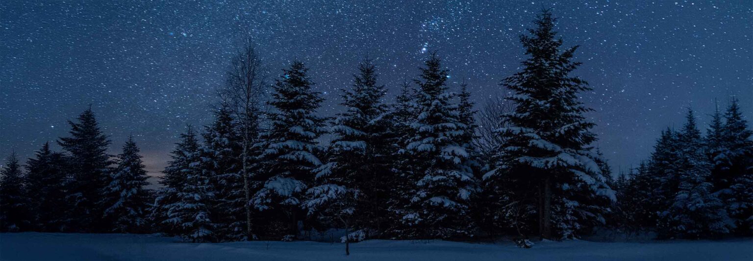 article Lua Nova em Capricórnio: a primeira Lua Nova de 2026