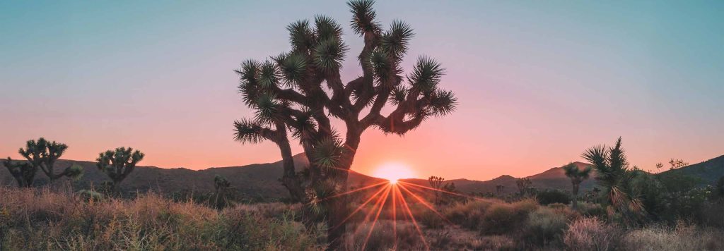 article Mercúrio entra em Aquário: Cultive a Objetividade
