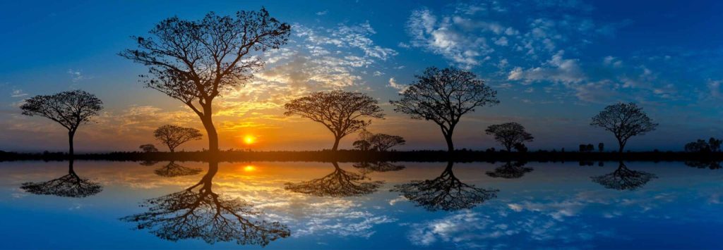 article Mercúrio em Peixes 2026: a Linguagem da Alma