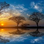 article Mercúrio em Peixes 2026: a Linguagem da Alma