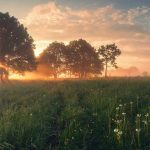 article Previsão Astrológica Fevereiro 2026: Limiar de uma Nova Era