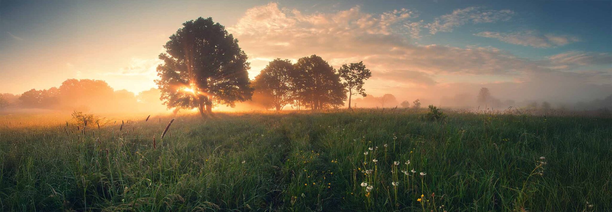 article Previsão Astrológica Fevereiro 2026: Limiar de uma Nova Era