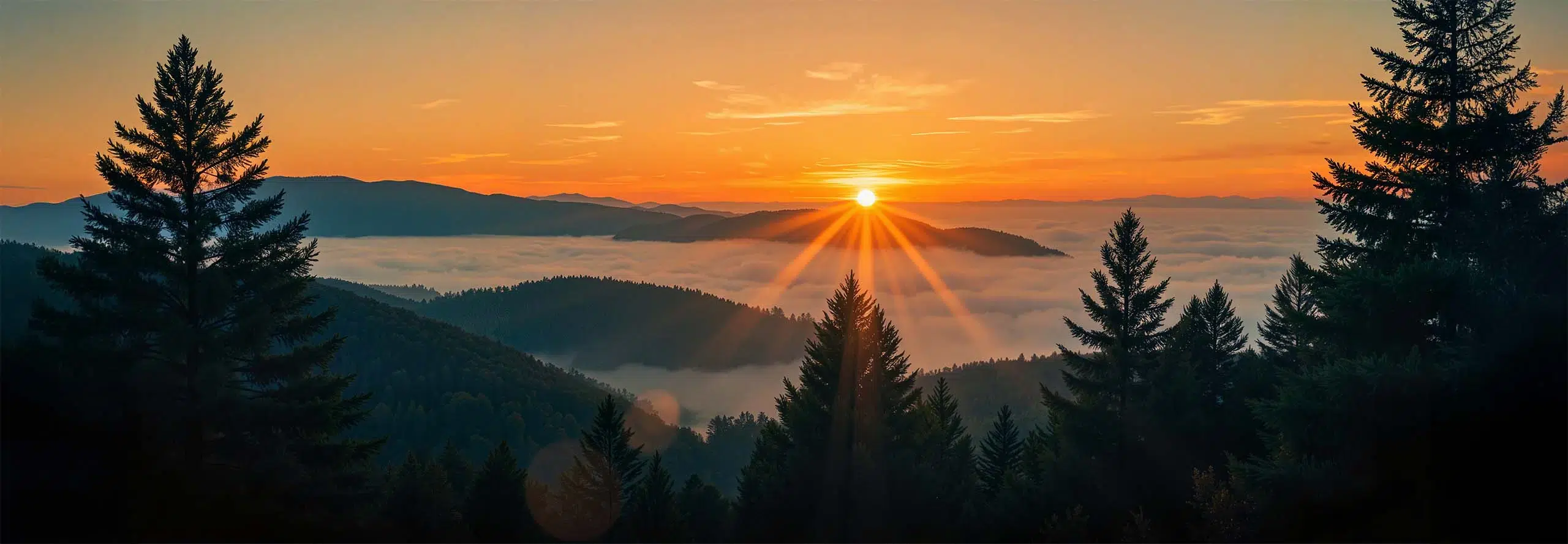 article Temporada de Aquário 2026: Além dos Velhos Paradigmas