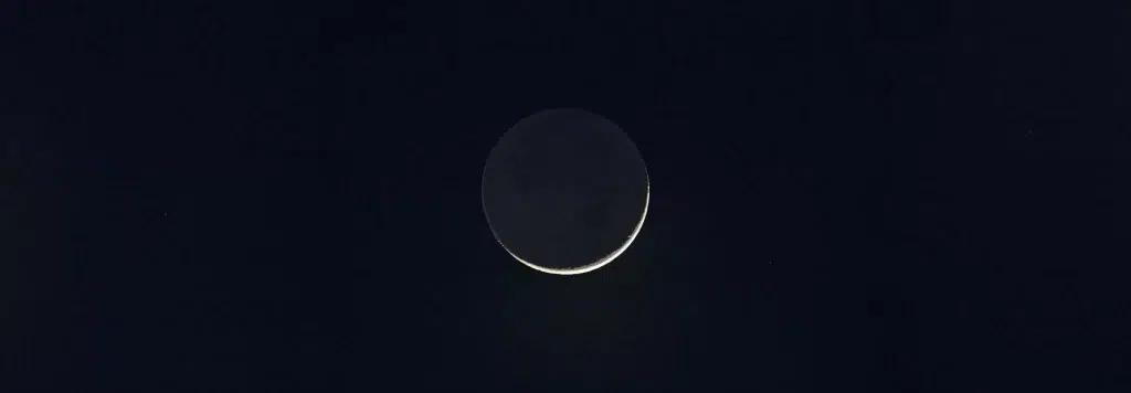 article Lua Nova em Peixes 2026: Sementes Crescem na Escuridão