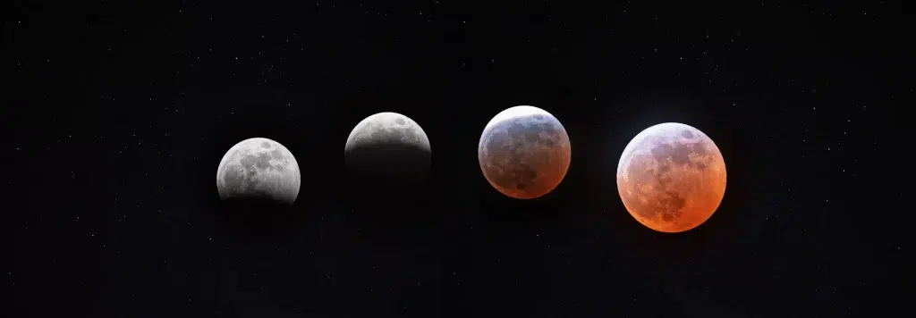 article Eclipse em Peixes 2026: Deixe Ir para Deixar Entrar