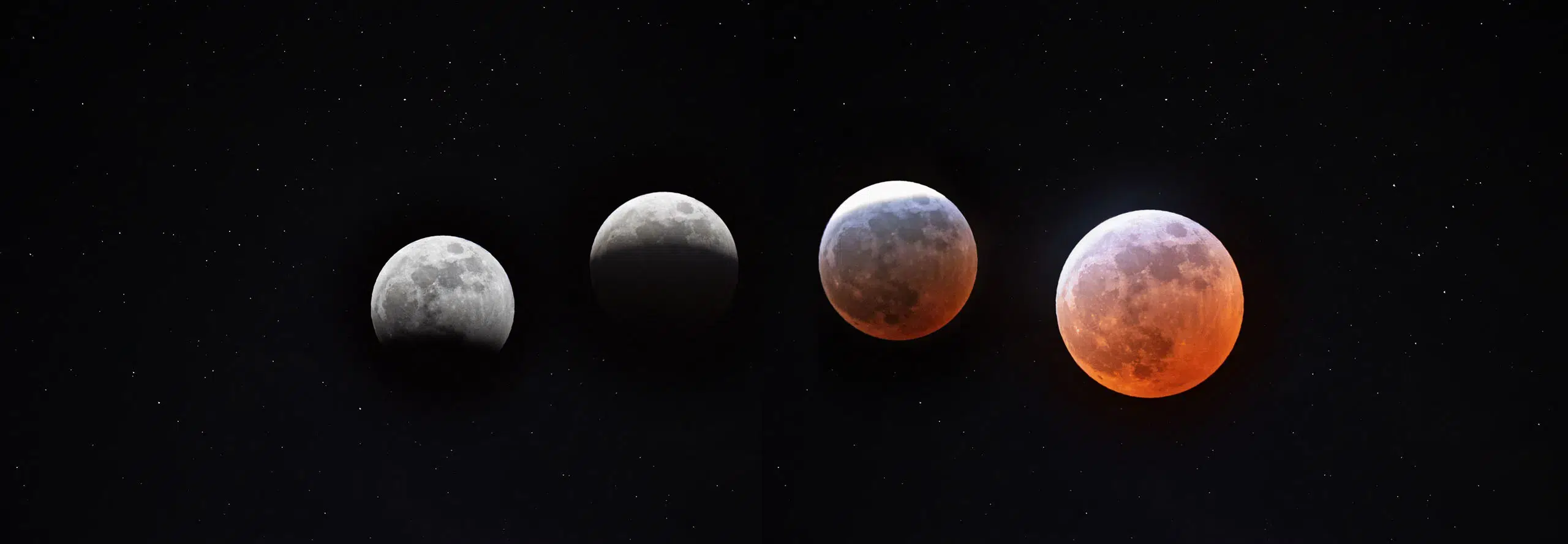article Eclipse em Peixes 2026: Deixe Ir para Deixar Entrar